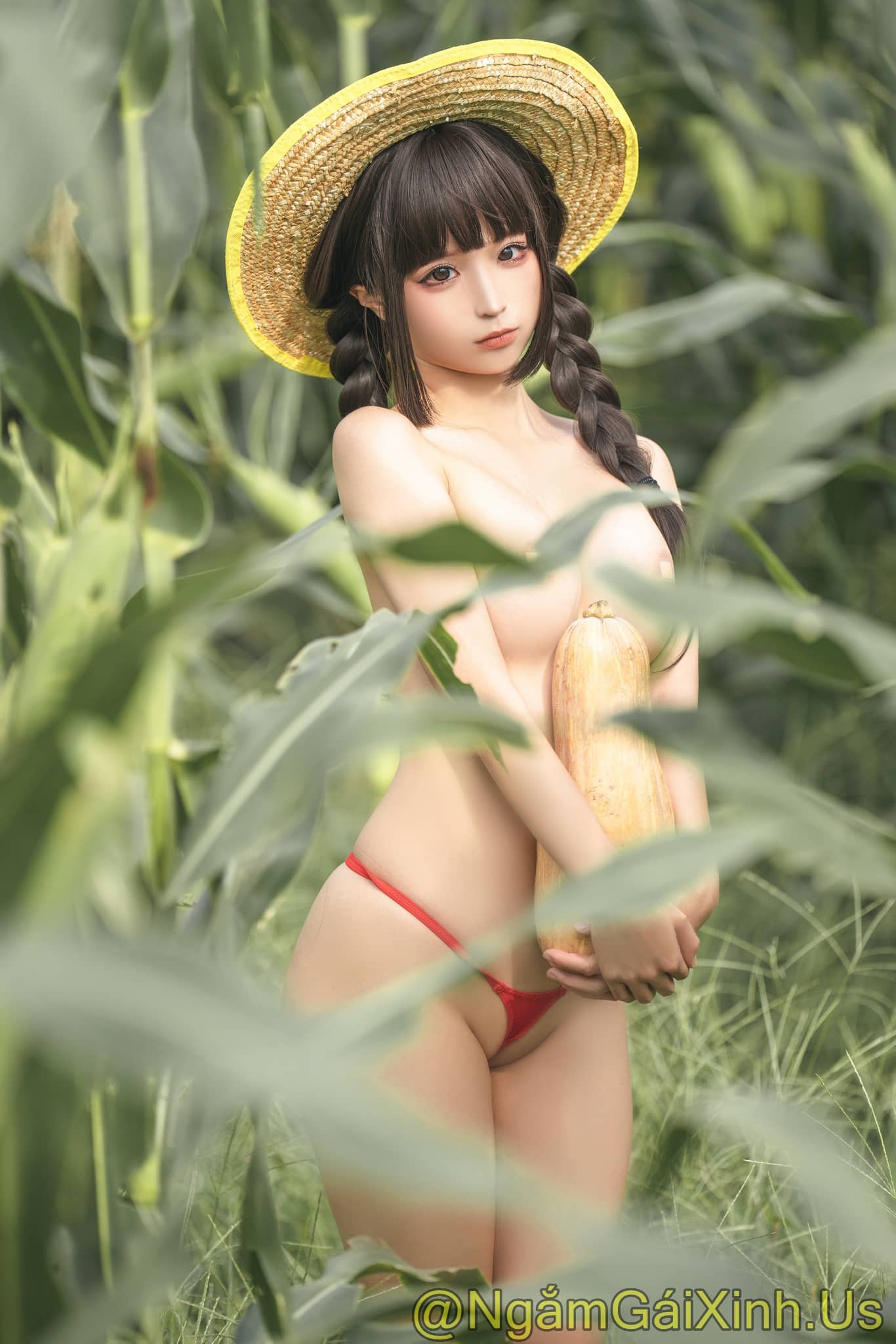 NGX_Cornfield Story_28