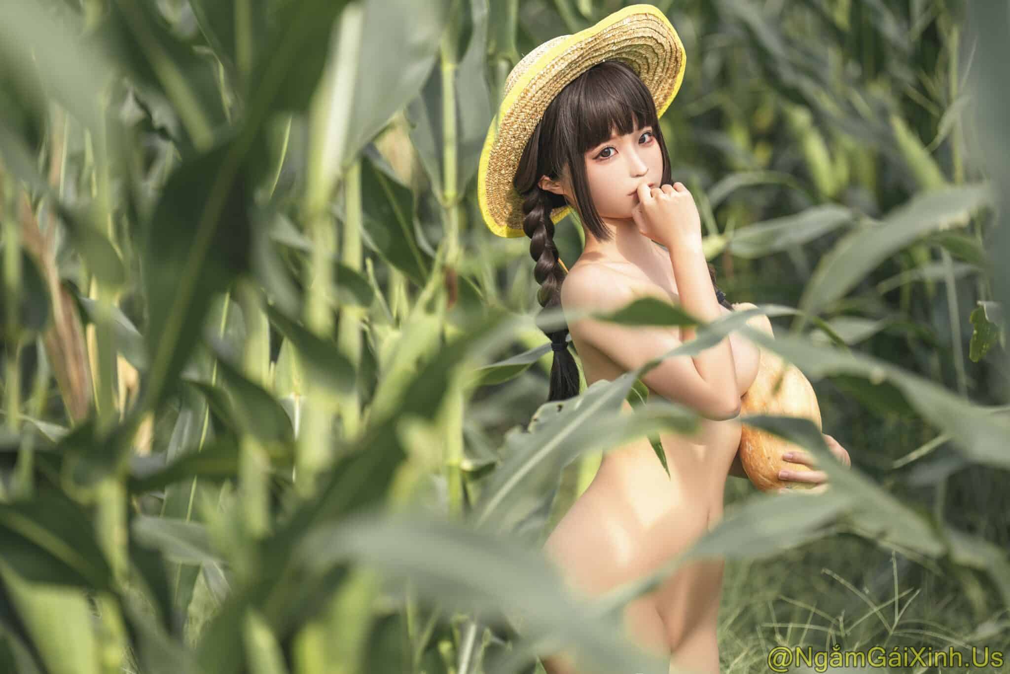 NGX_Cornfield Story_29