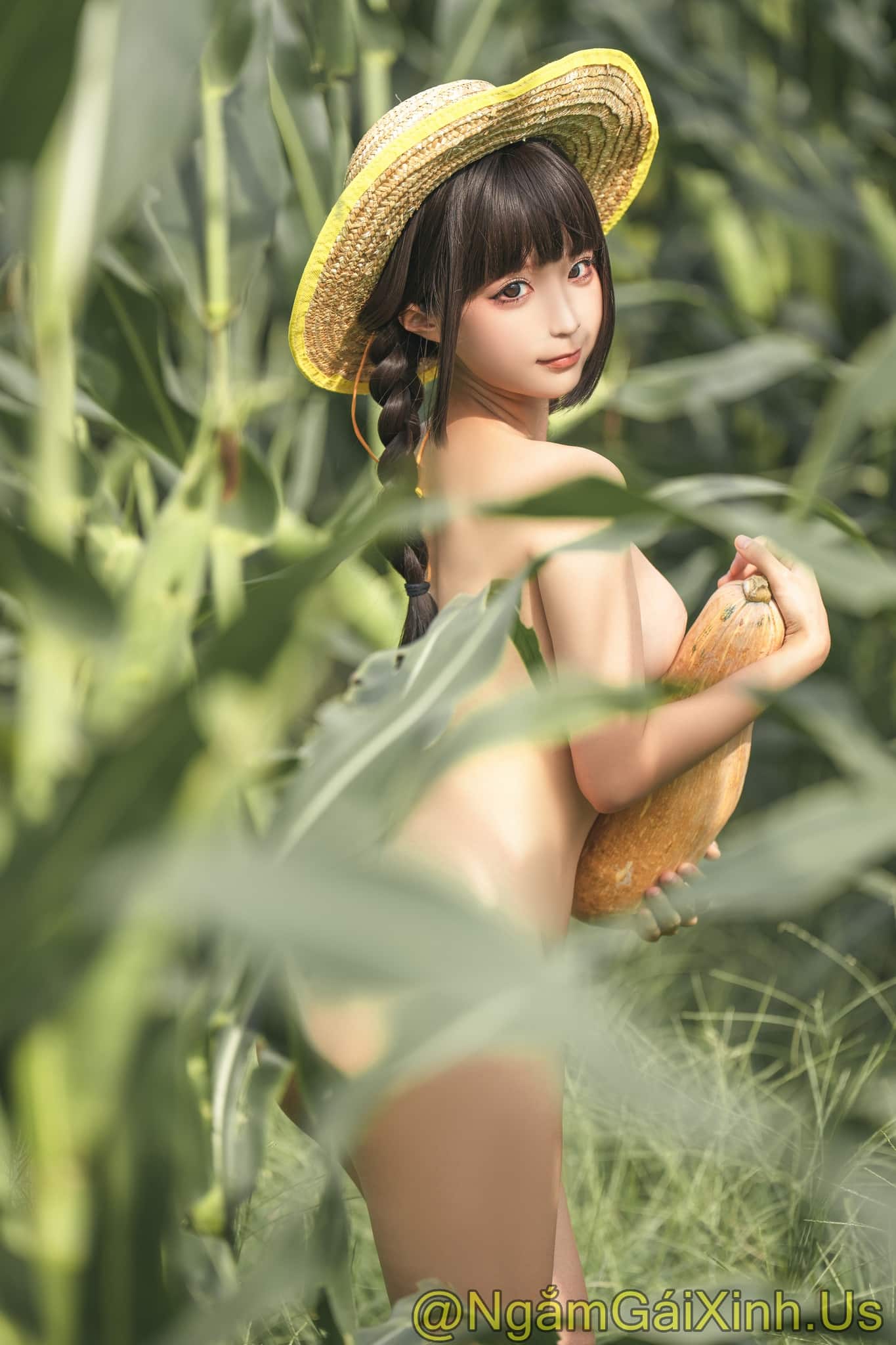 NGX_Cornfield Story_33