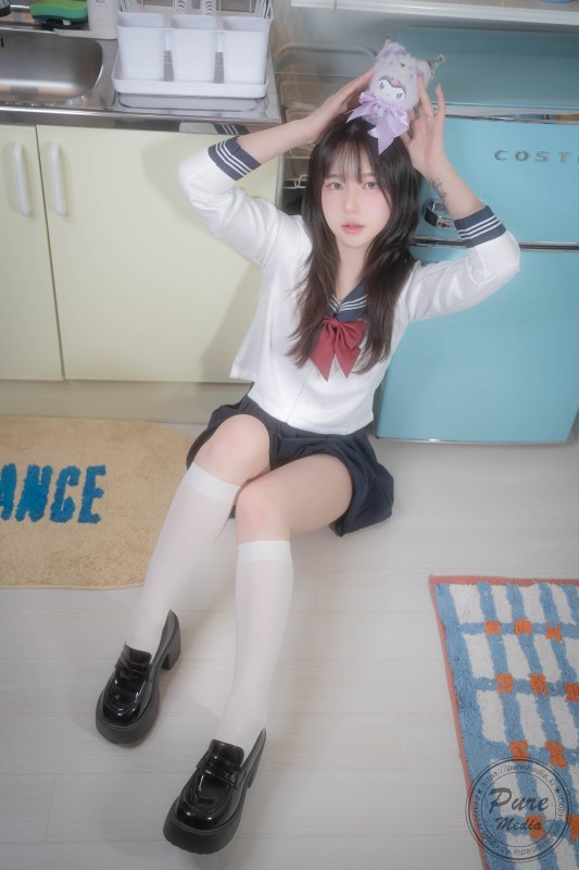 pure_343_13